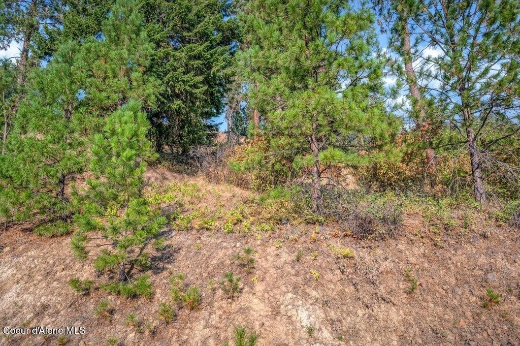 Picture 8