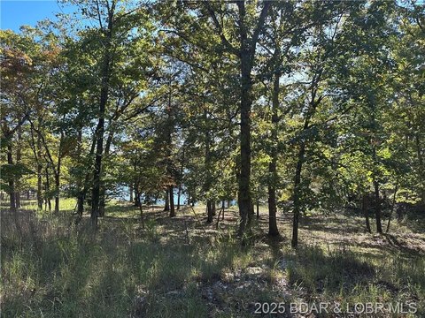 Ozarks Land Parcel Near Lake