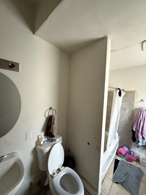Picture 5