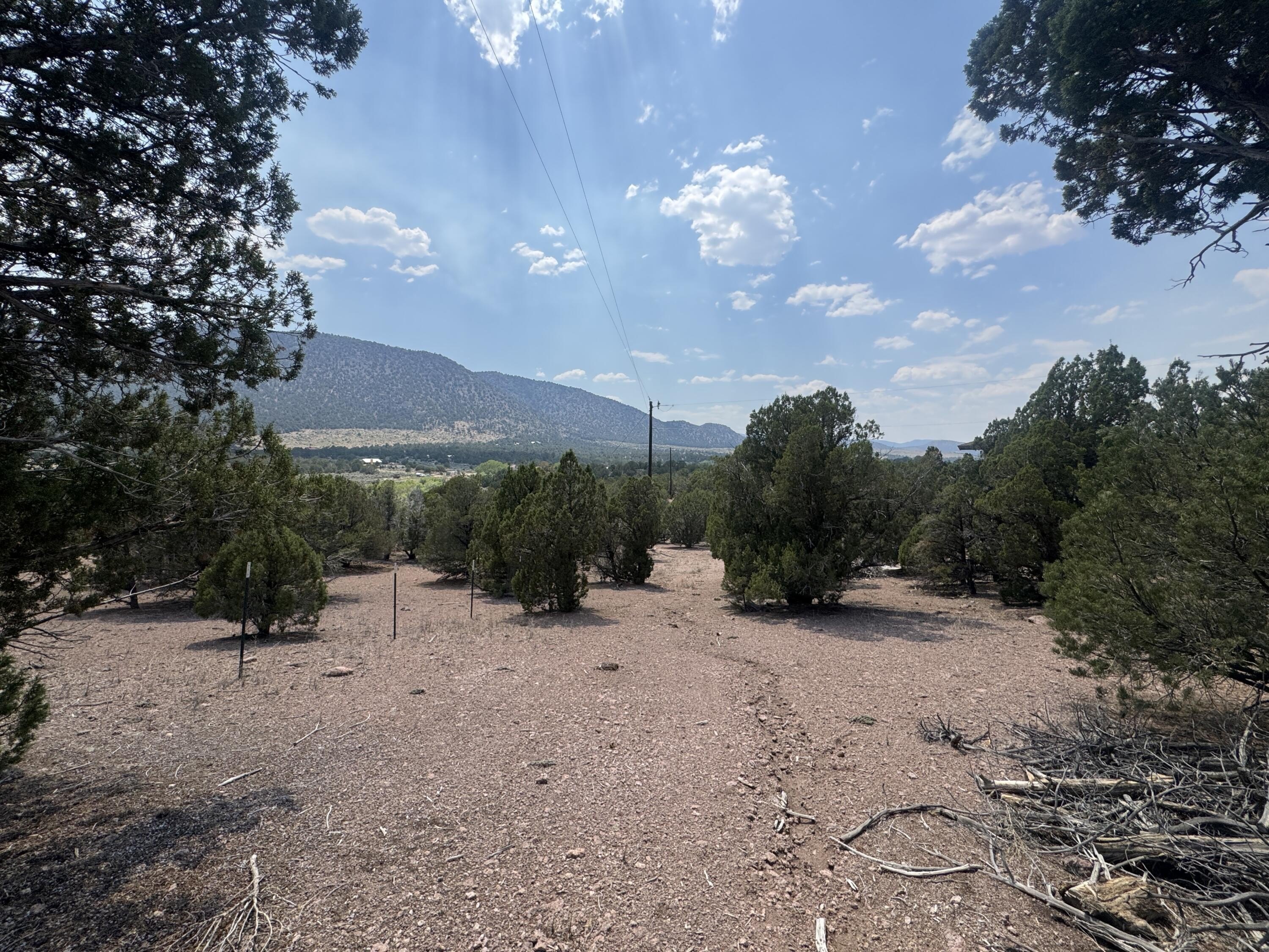 Half-Acre Lot with Mountain Views