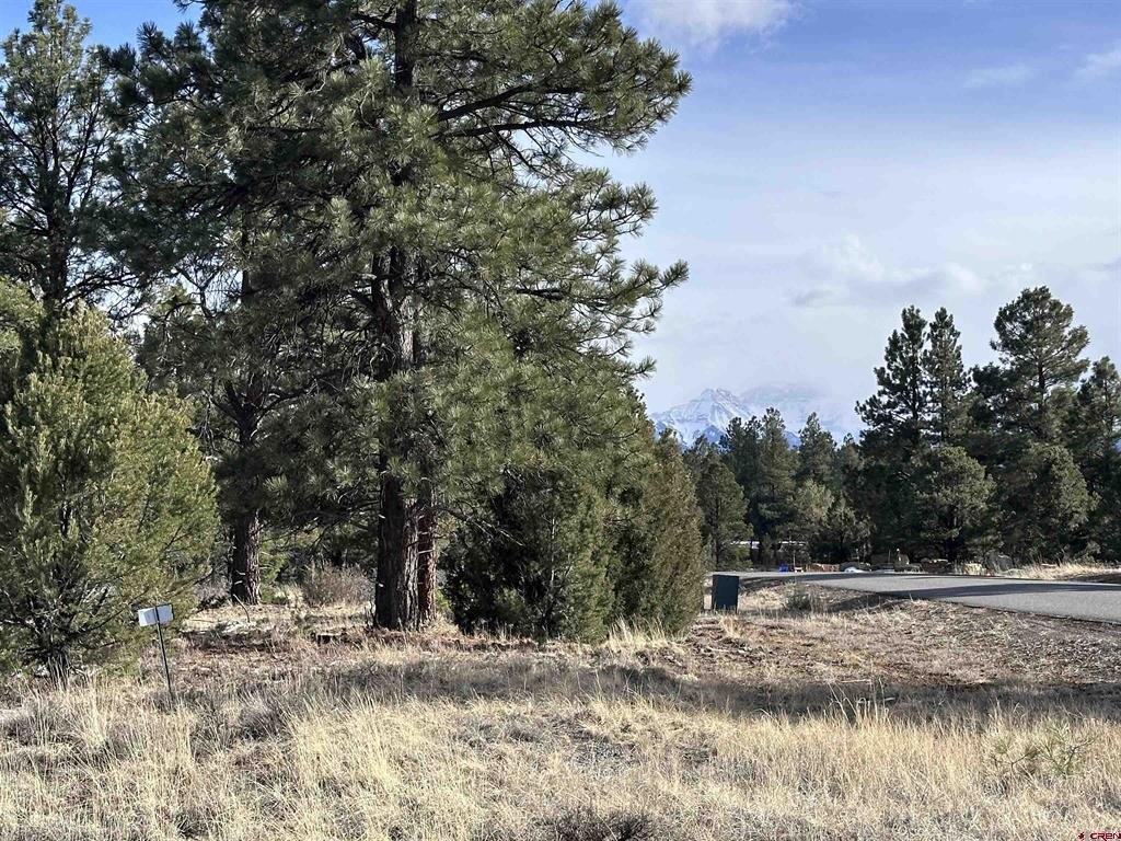Land For Sale, Ridgway, CO
