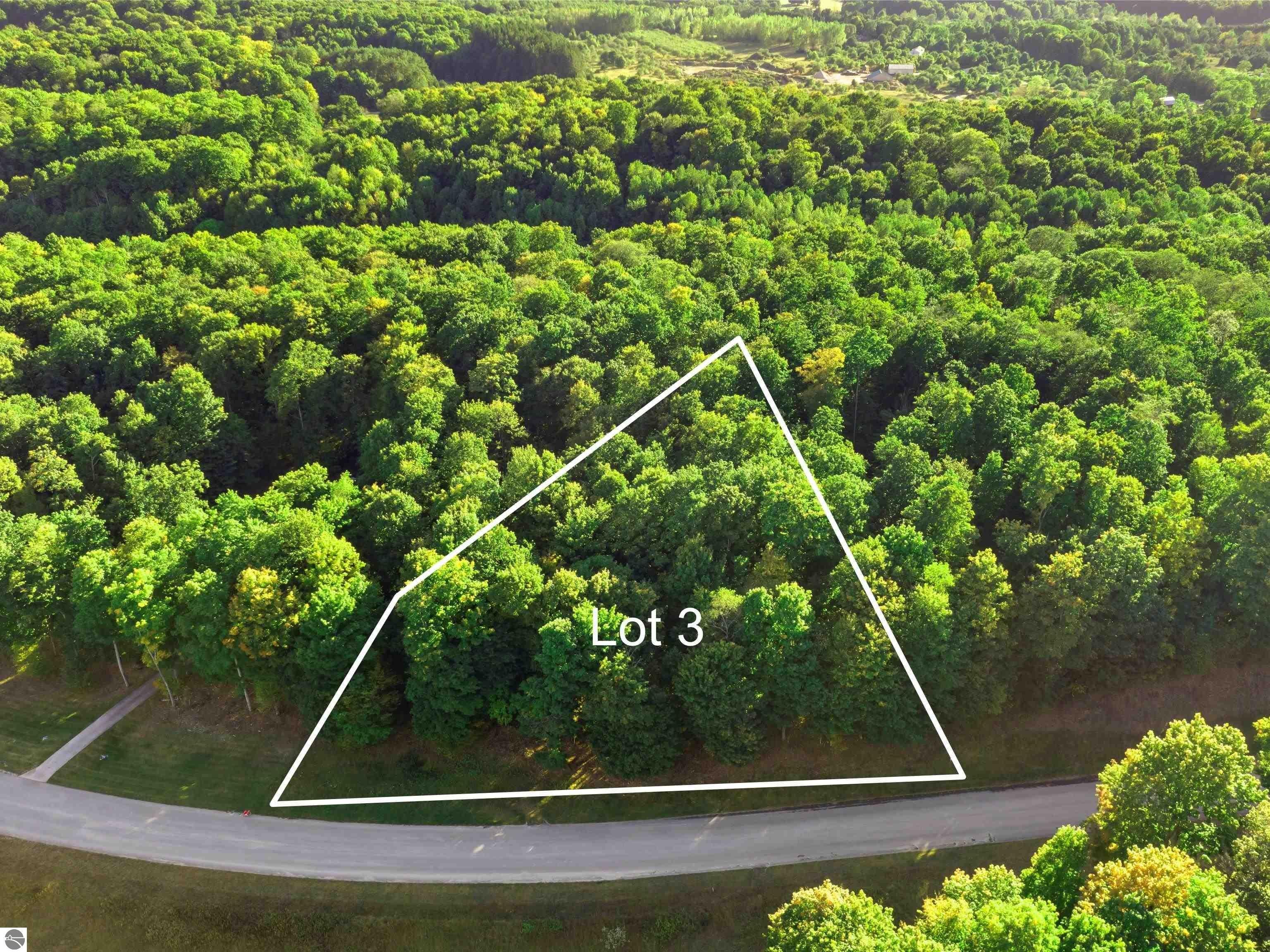 Wooded 1.6 Acre Vacant Lot