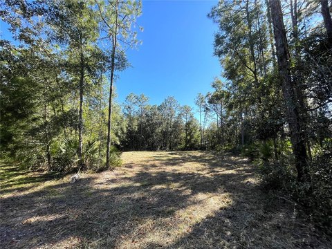 Crystal River Land For Sale