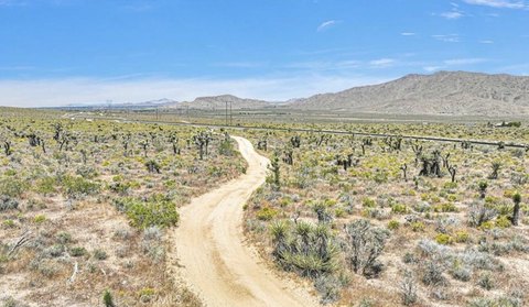 LAND - Lucerne Valley, CA