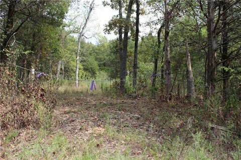 Land, Beaver, AR