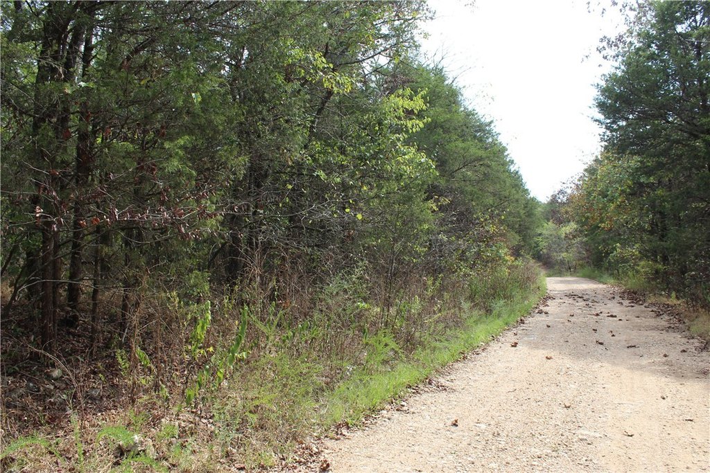 Picture 6