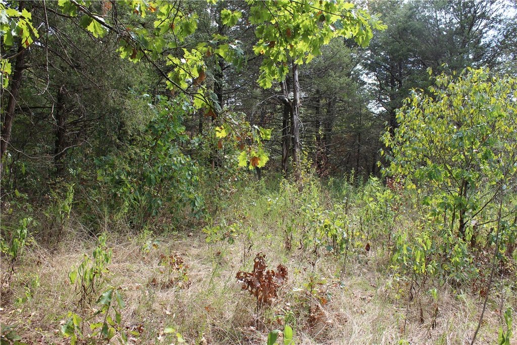 Picture 4