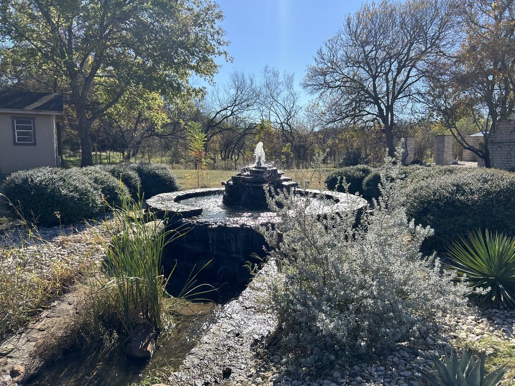Picture 31