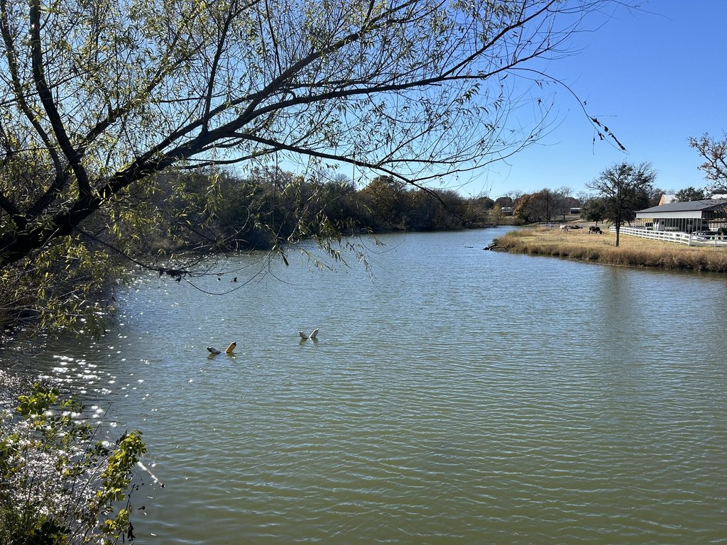 Picture 27