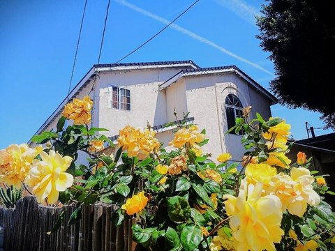 Well-Maintained Multifamily Investment Opportunity