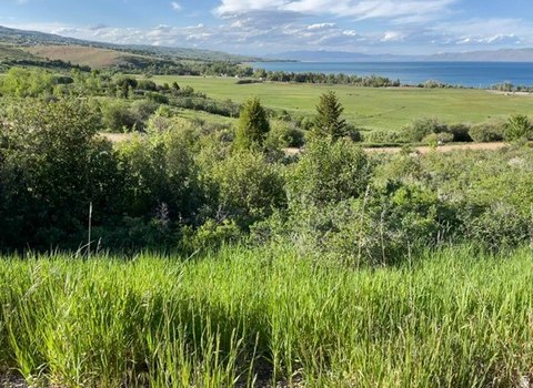 Land, Garden City, UT