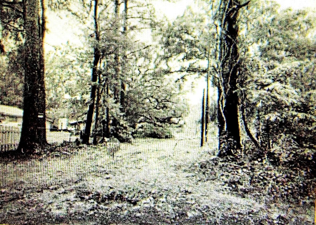 Picture 4