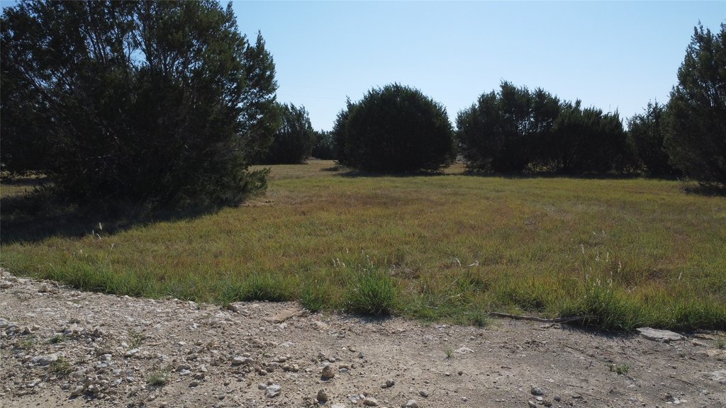 Picture 40