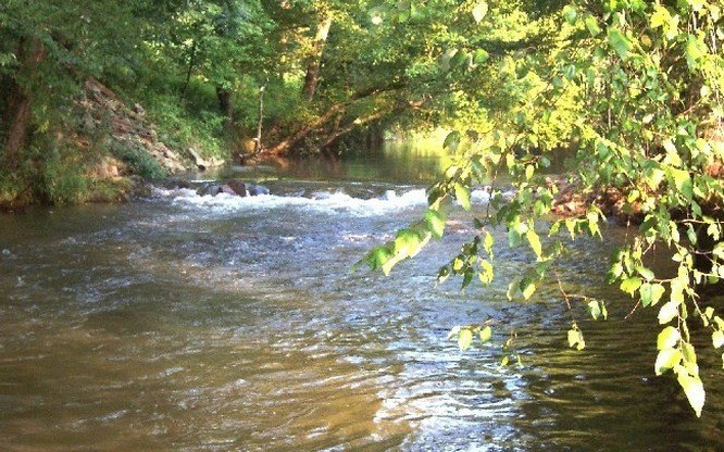 Picture 10
