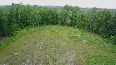 Privately Wooded Residential Land Parcel