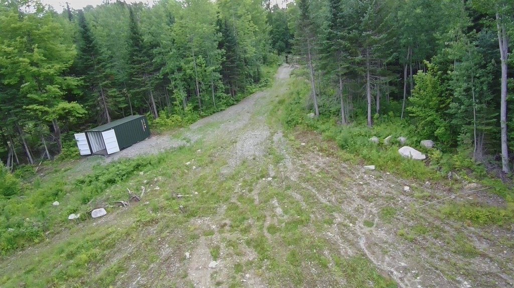 Picture 11