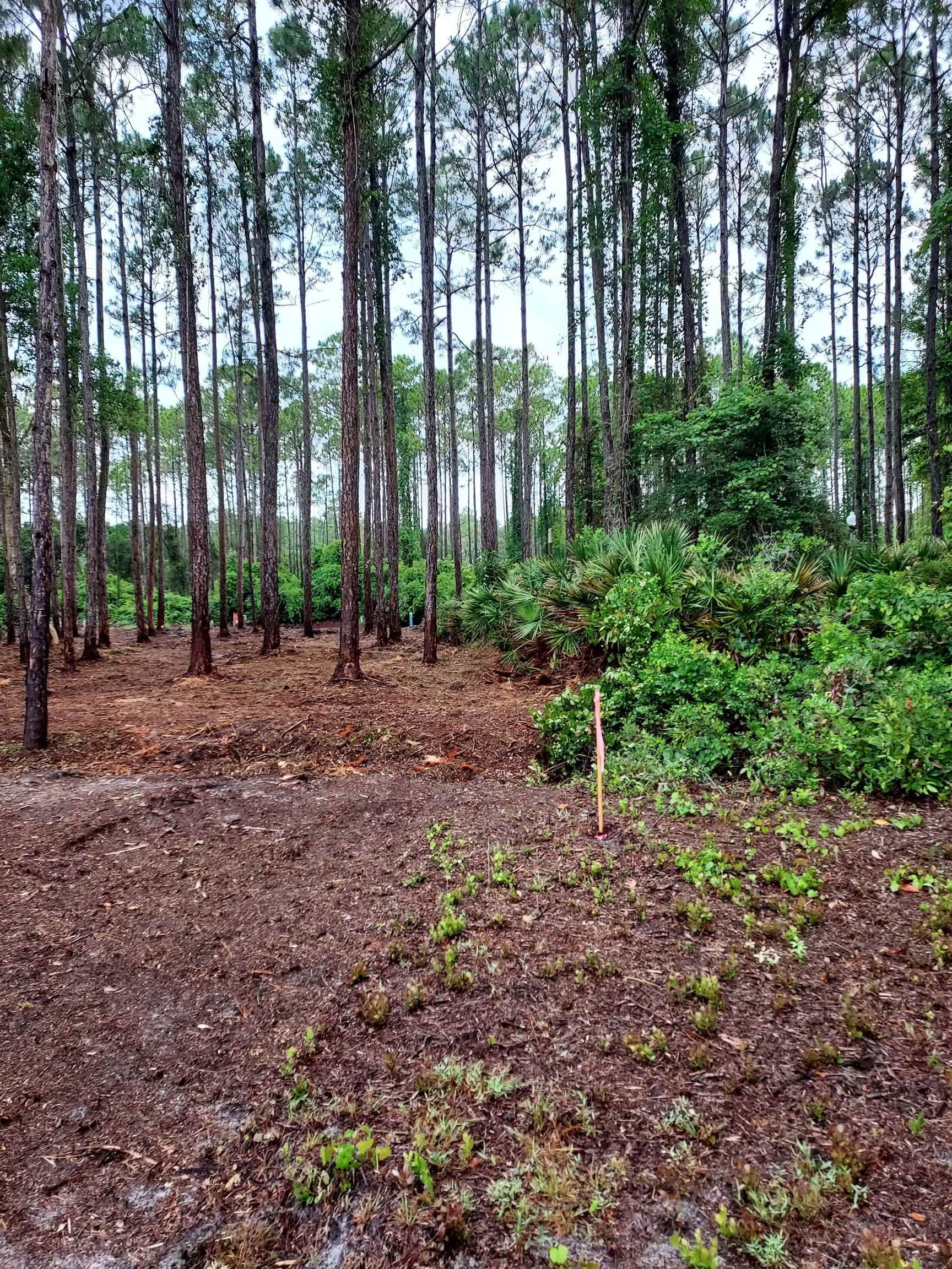 Cleared Bay View Lot