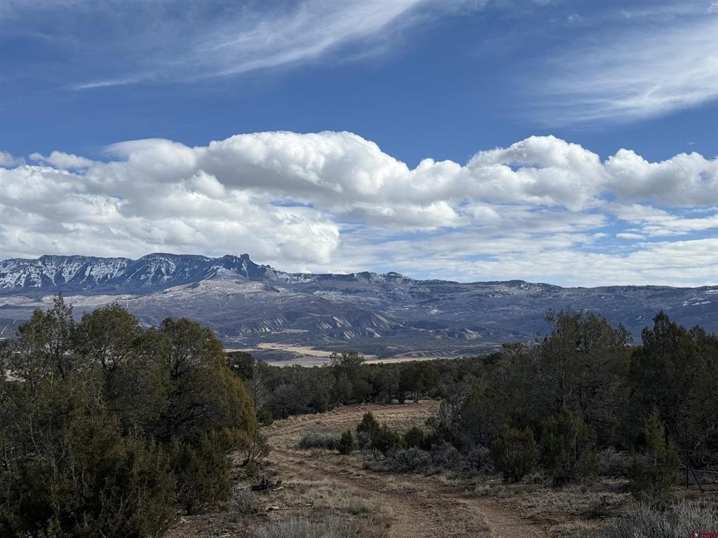 Picture 43