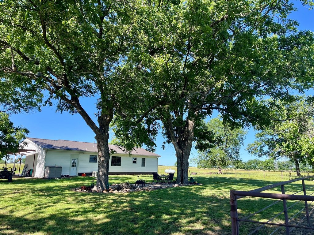 Picture 19