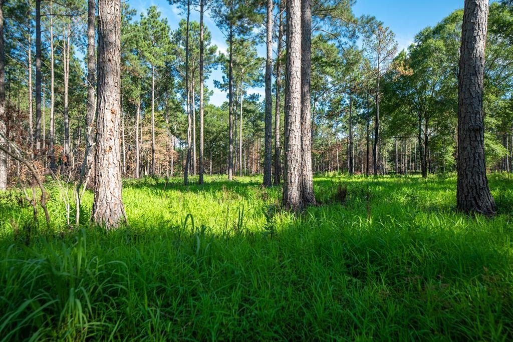 Baker County Hunting Paradise