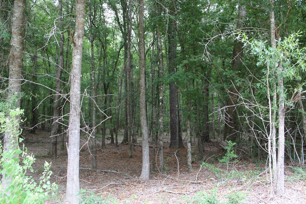 Picture 7
