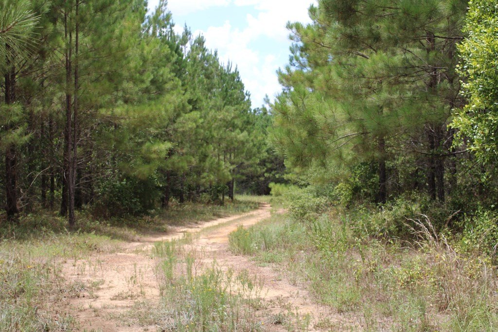 Picture 12