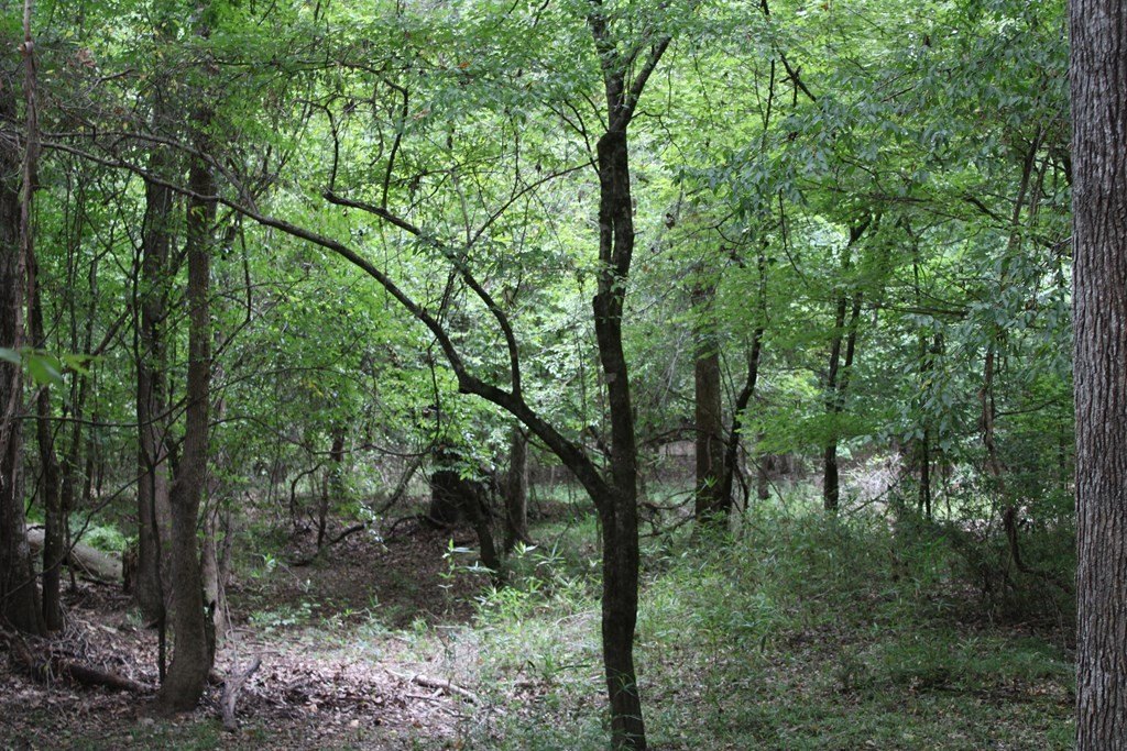 Picture 10