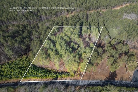 Lake Access Lot, Blairsville, GA