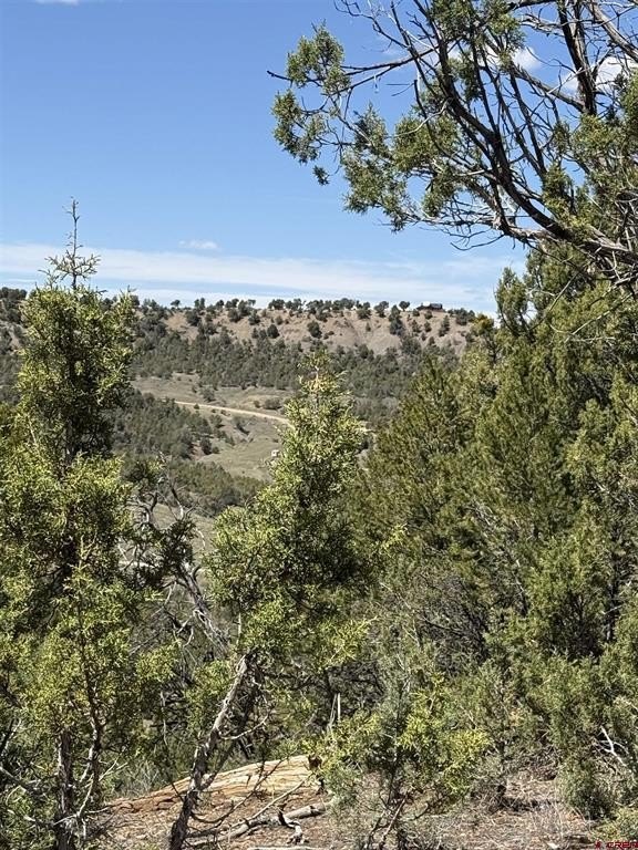 Mancos, CO Land For Sale