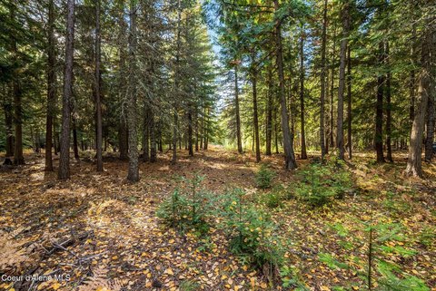 Land, Naples, ID