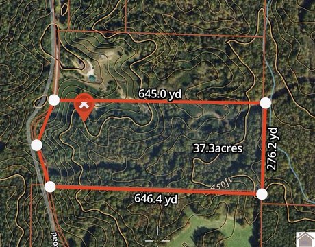 Timbered Hunting Land Tract
