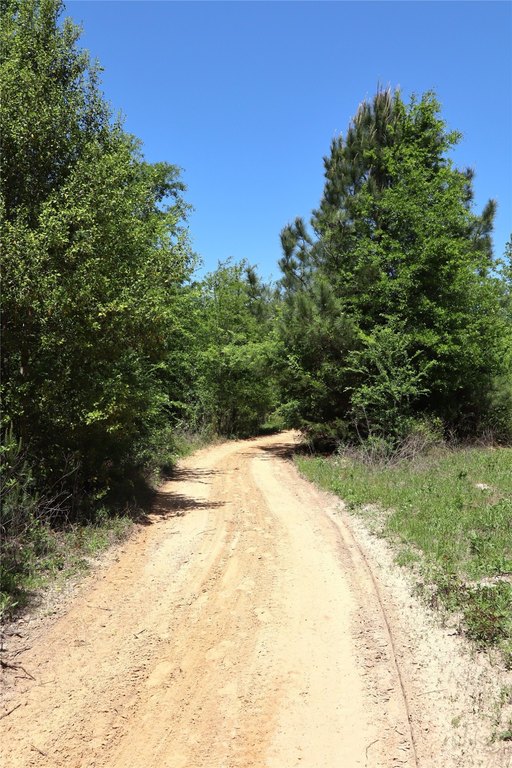 Picture 10