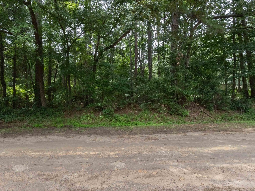 Picture 2