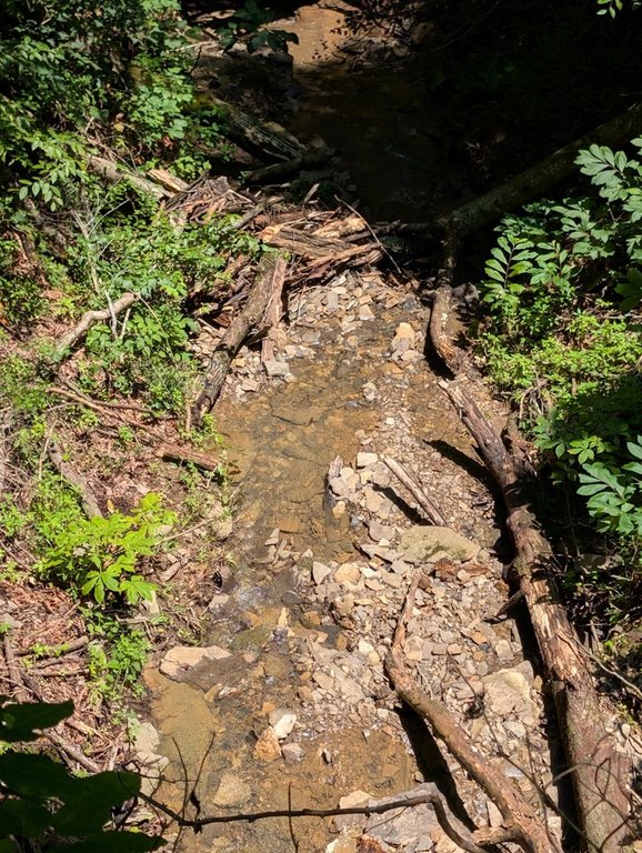 Picture 18