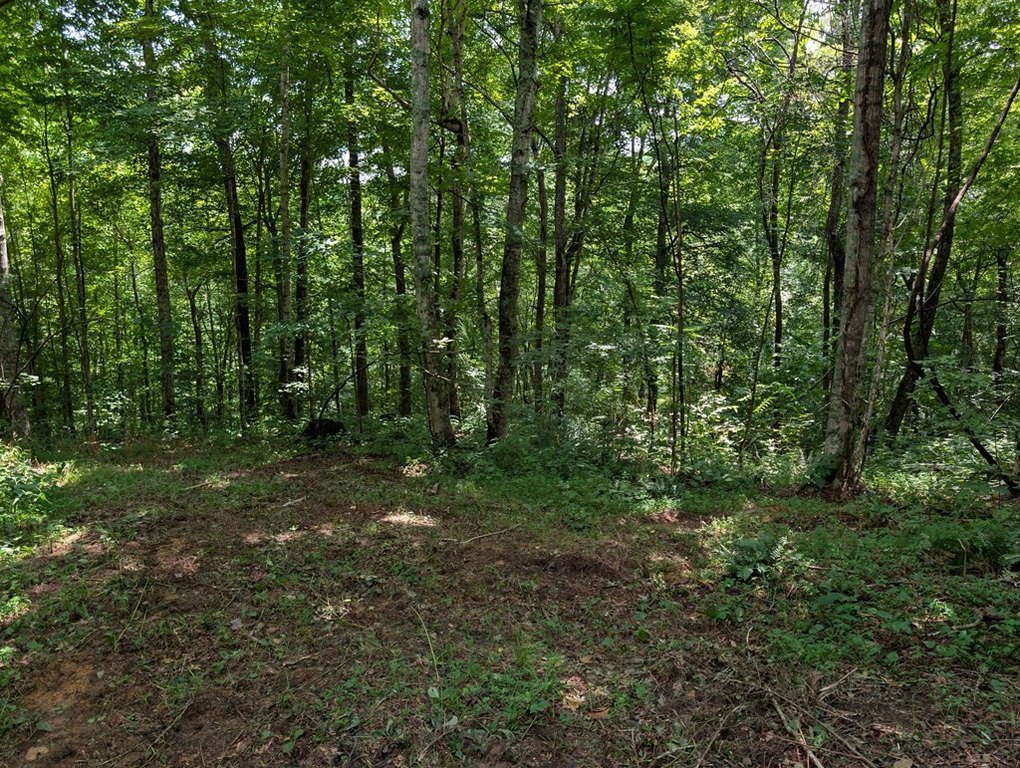 Picture 8