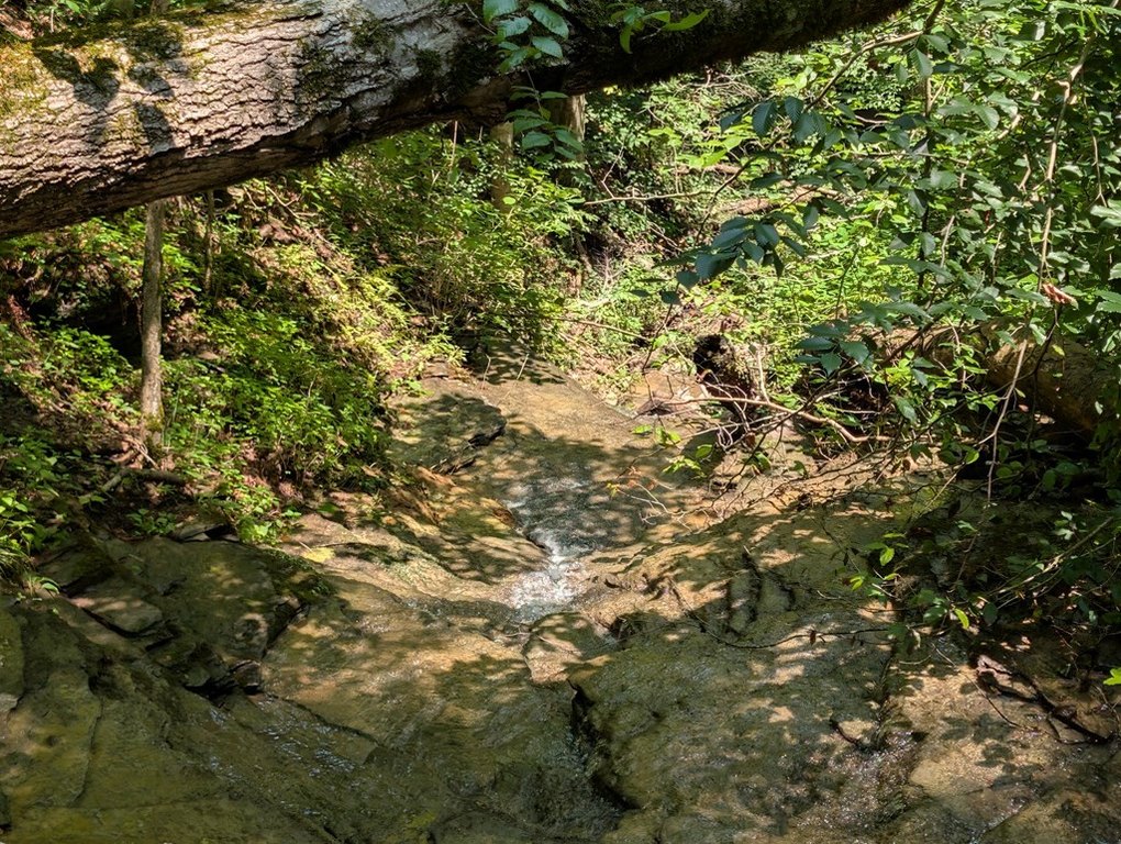 Picture 16
