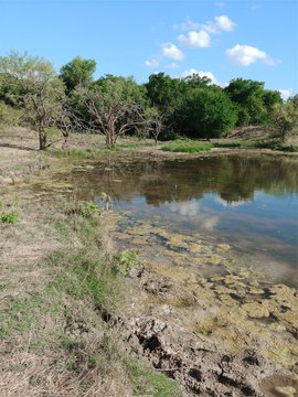 Land, Grandview, TX