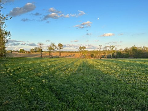Carlisle, KY Land Opportunity