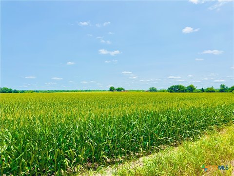 Buckholts, TX Farmland Opportunity