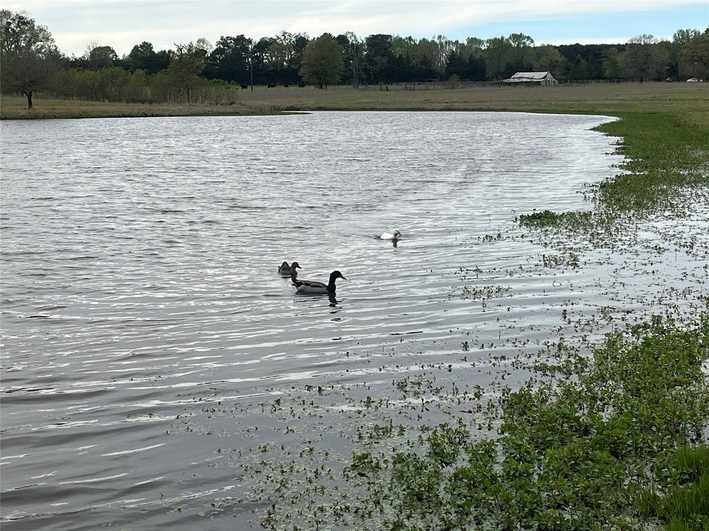 Picture 39