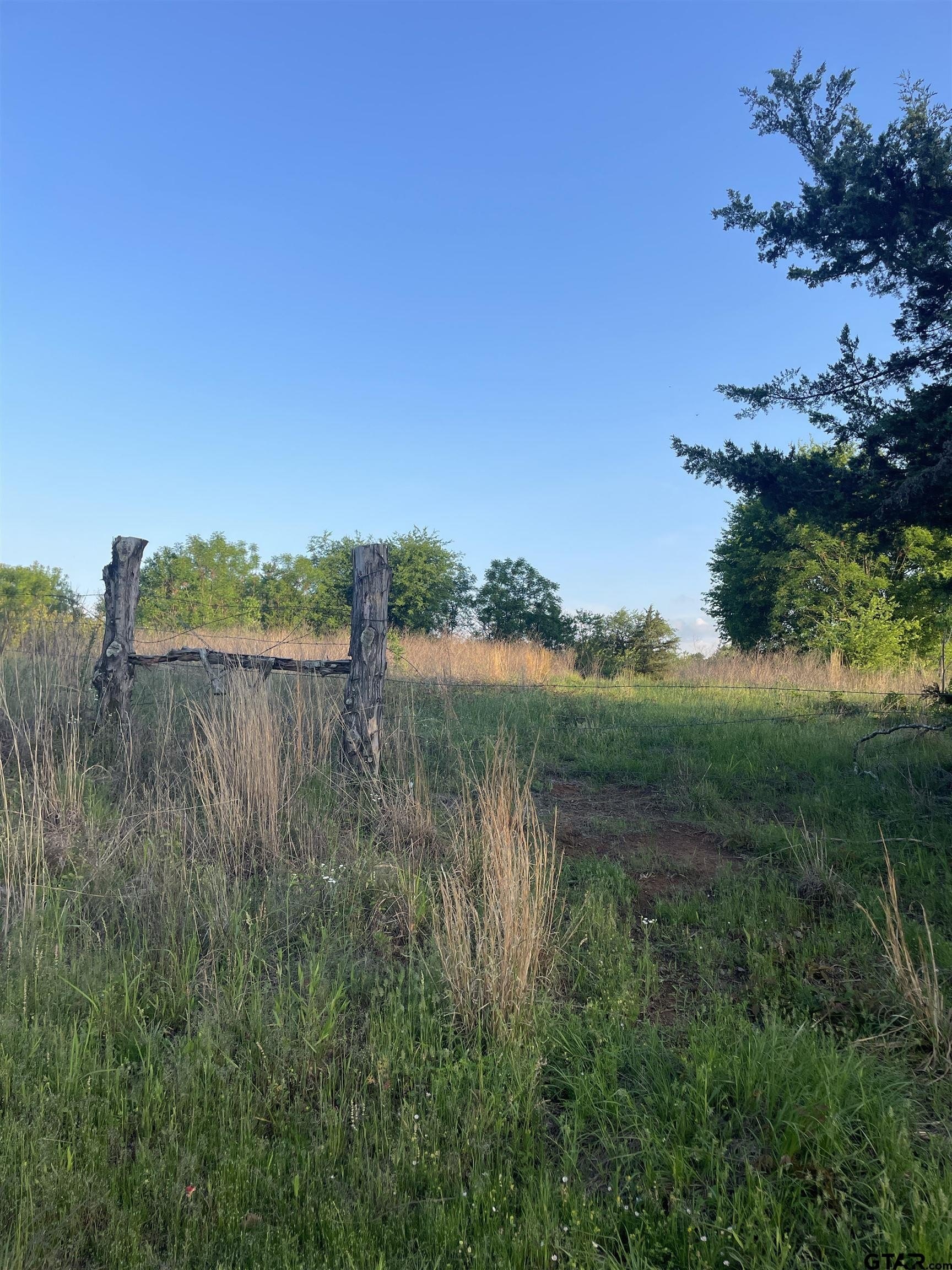 Residential Lot in Pittsburg, TX