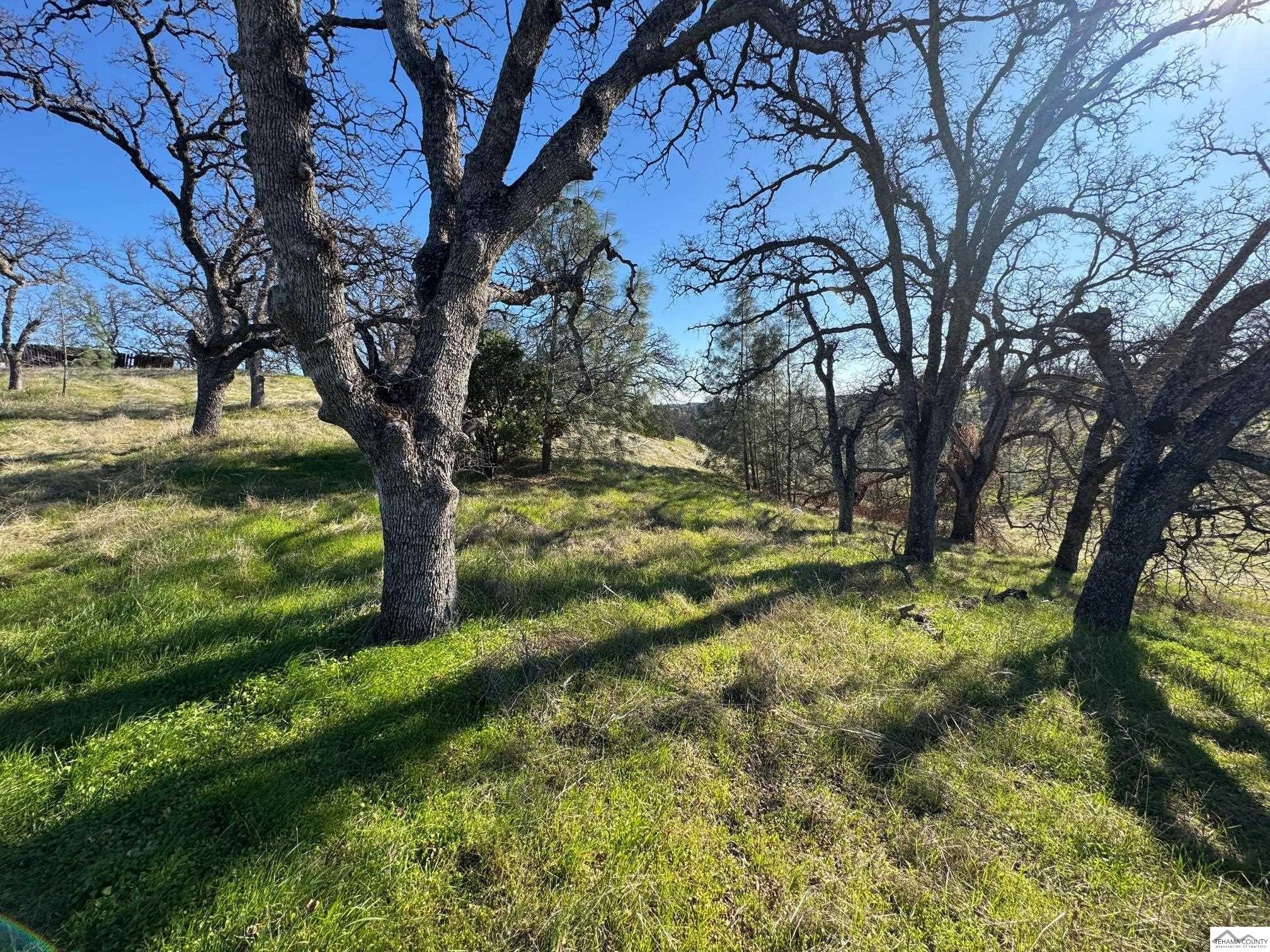 Land in Rancho Tehama Reserve