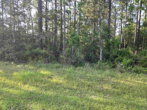 Land, Bristol, FL