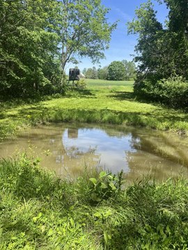 Zanesfield Land with Trophy Whitetails