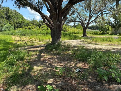 LAND - LEESBURG, FL