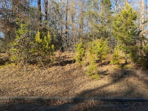 Ozark, AL Land Opportunity