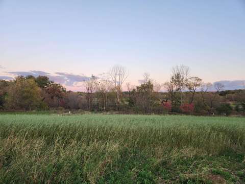 Residential Lot in DeForest, WI