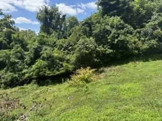 LAND - Ashland, KY