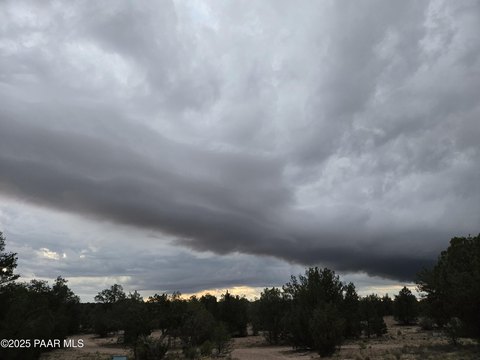 Seligman, AZ Land For Sale