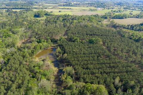 Timberland Tracts with Pond Sites